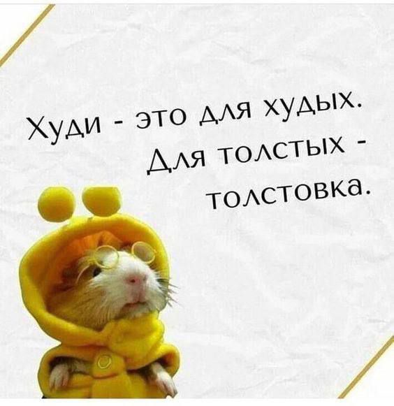 Худи это АлЯ худыХ А ля ТО АСТЫХ толстовка