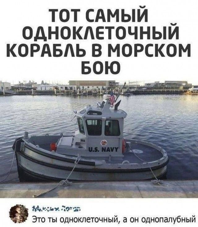 ТОТ САМЫЙ _ ОДНОКЛЕТОЧНЫЙ КОРАБЛЬ В МОРСКОМ БОЮ уедыя оТО Это ты одноклеточный а он однопалубный