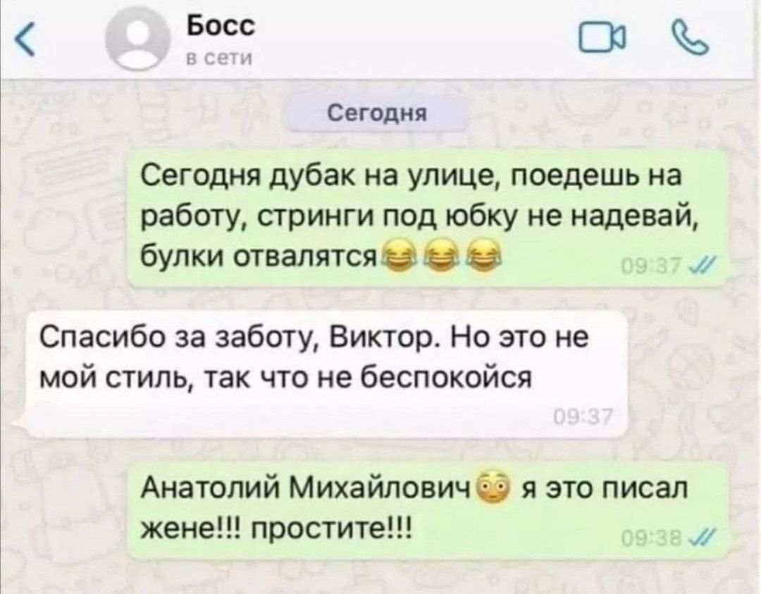 Босс с Сегодня Сегодня дубак на улице поедешь на работу стринги под юбку не надевай булки отвалятся Спасибо за заботу Виктор Но это не мой стиль так что не беспокойся Анатолий Михайлович я это писал жене простите