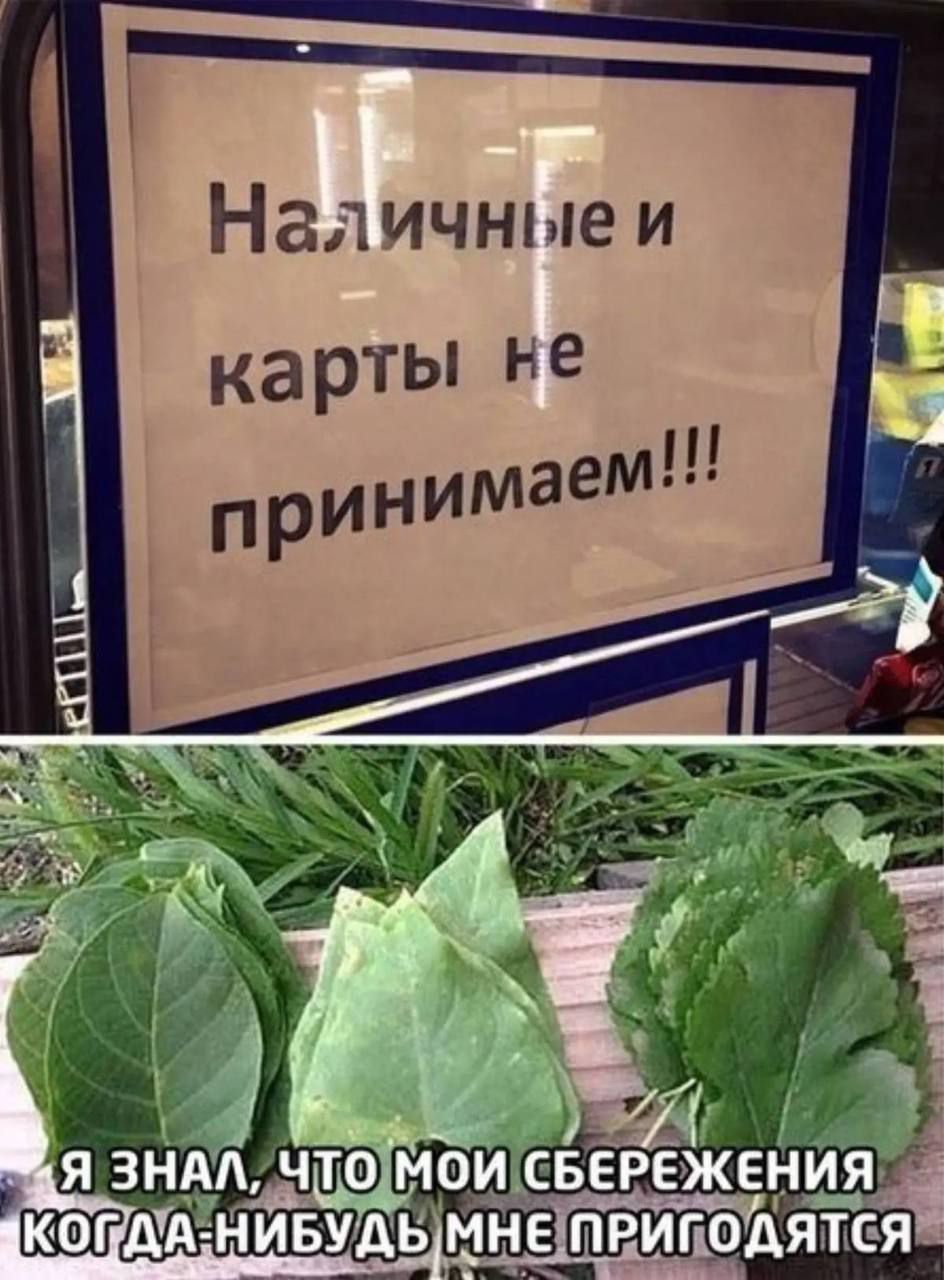 Наличные и карты не принимаем!!! Я знал, что мои сбережения когда-нибудь мне пригодятся