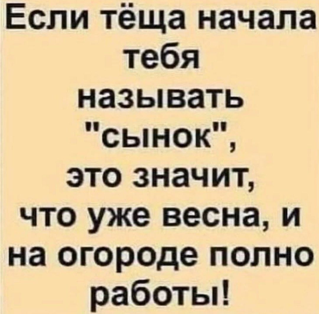 Если тёща начала тебя называть 