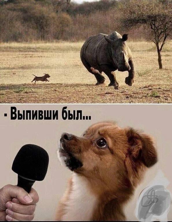 – Выпивши был...