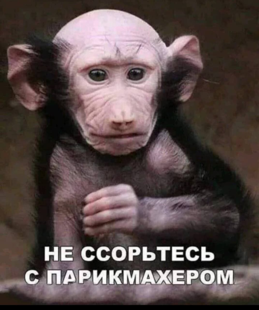 НЕ ССОРЬТЕСЬ С ПАРИКМАХЕРОМ