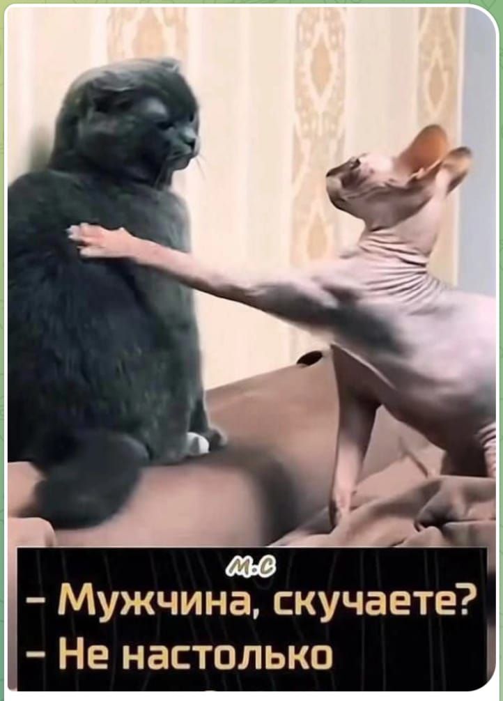 - Мужчина, скучаете?
- Не настолько