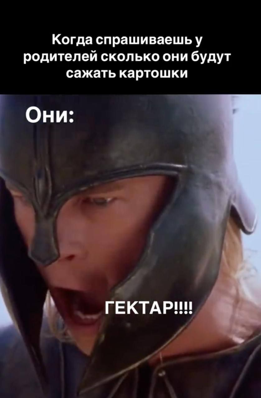 Когда спрашиваешь у родителей сколько они будут сажать картошки
Они:
ГЕКТАР!!!!