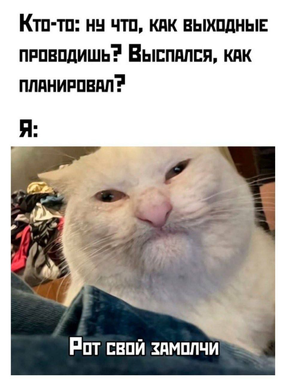 Кто-то: ну что, как выходные проводишь? Выспался, как планировал? Я: Рот свой замолчи.