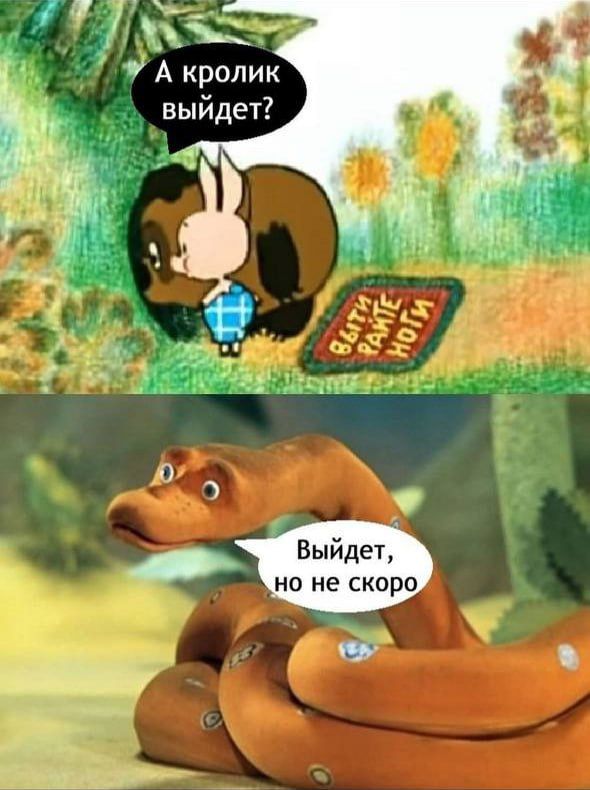 А кролик выйдет? Выйдет, но не скоро.