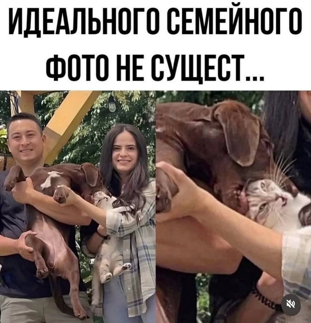 Идеального семейного фото не существует...