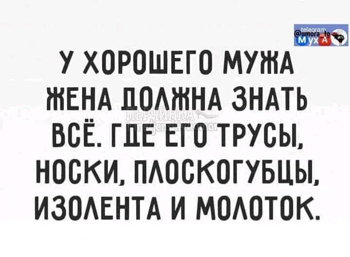 У хорошего мужа жена должна знать всё. Где его трусы, носки, плоскогубцы, изолента и молоток.