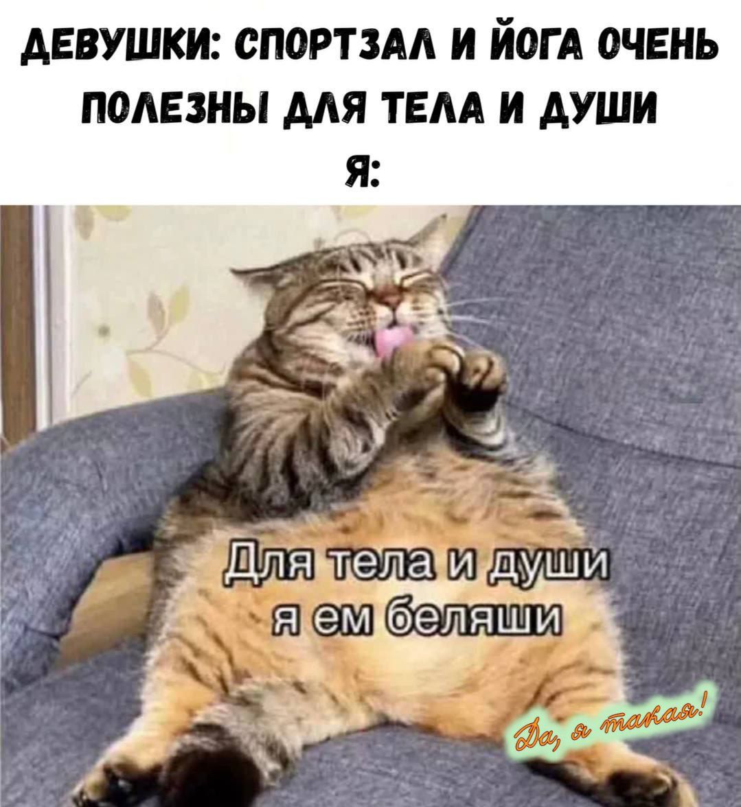 ДЕВУШКИ: СПОРТЗАЛ И ЙОГА ОЧЕНЬ ПОЛЕЗНЫ ДЛЯ ТЕЛА И ДУШИ
Я:
Для тела и души
я ем беляши