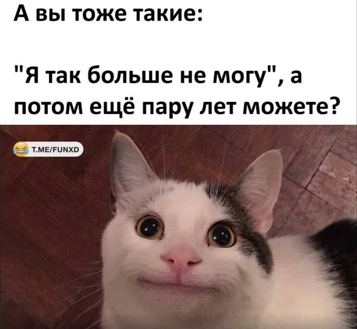 А вы тоже такие: 