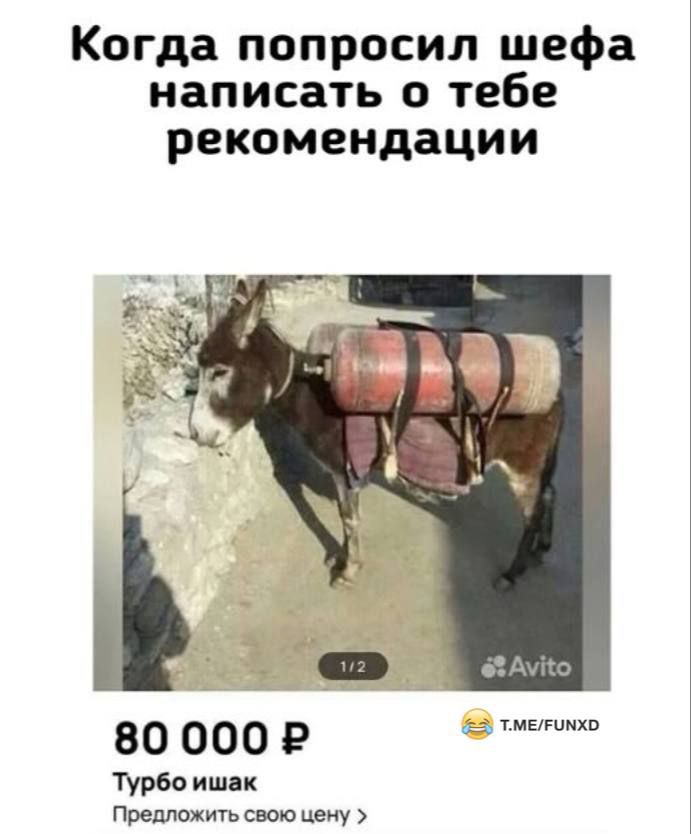 Когда попросил шефа написать о тебе рекомендации
80 000 ₽
Турбо ишак
Предложить свою цену