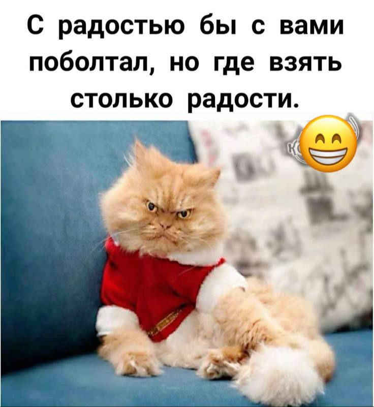 С радостью бы с вами поболтал, но где взять столько радости.