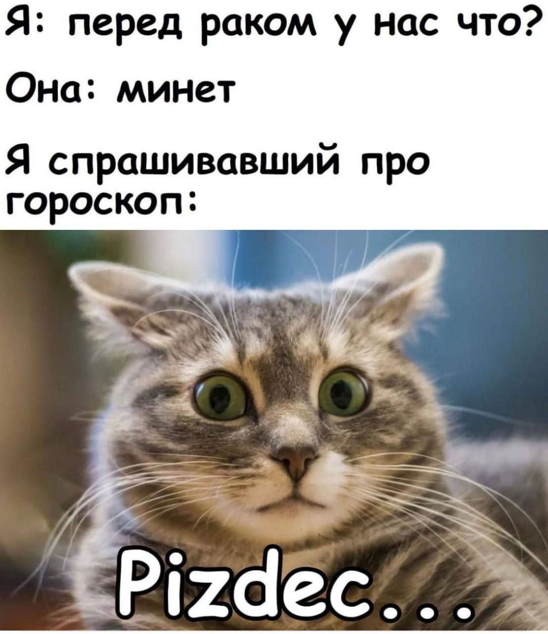 Я: перед раком у нас что?
Она: минет
Я спрашивавший про гороскоп:
Pizdec...