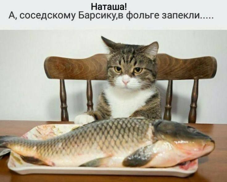 Наташа! А, соседскому Барсику, в фольге запекли.....