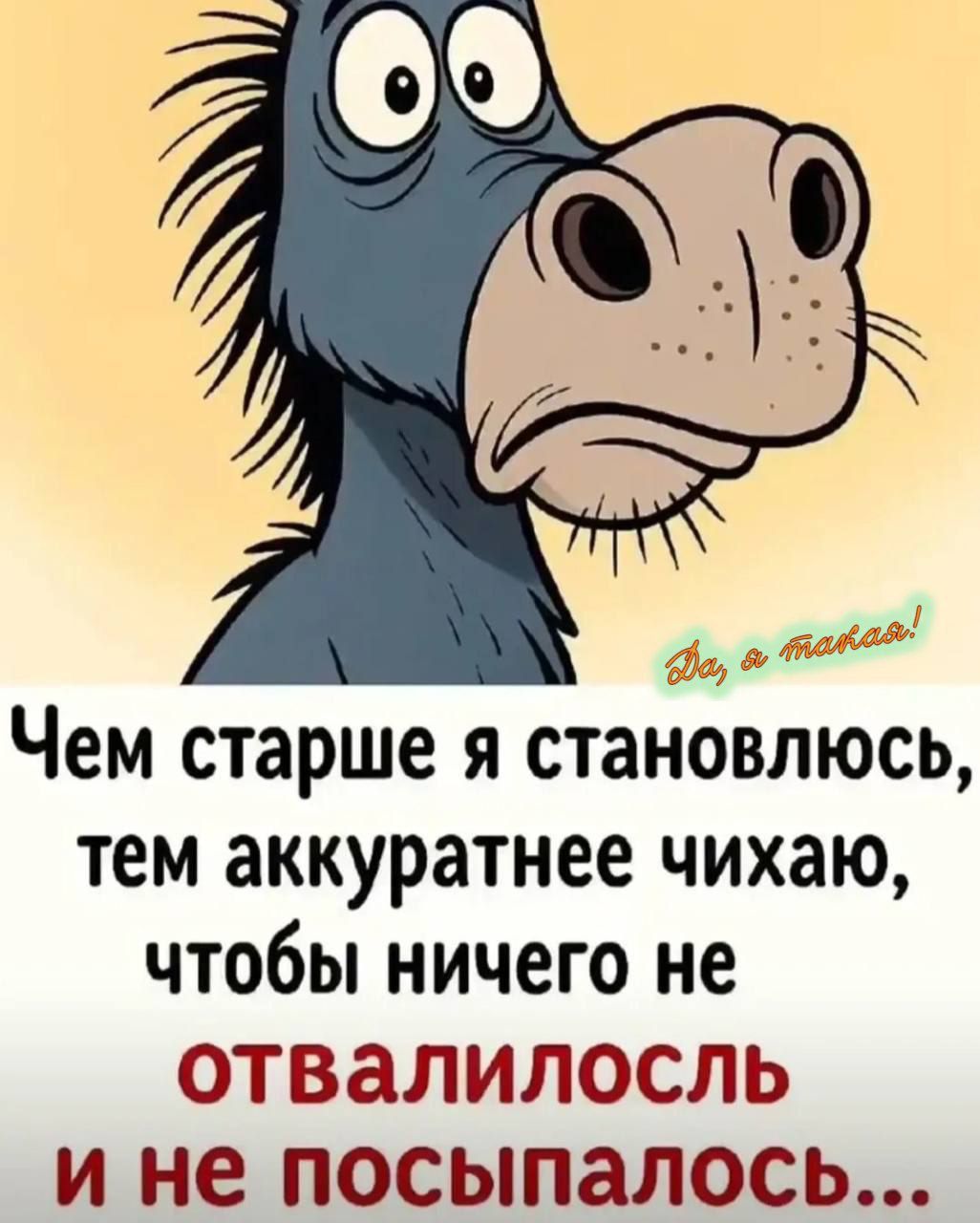 Чем старше я становлюсь, тем аккуратнее чихаю, чтобы ничего не отвалилось и не посыпалось...