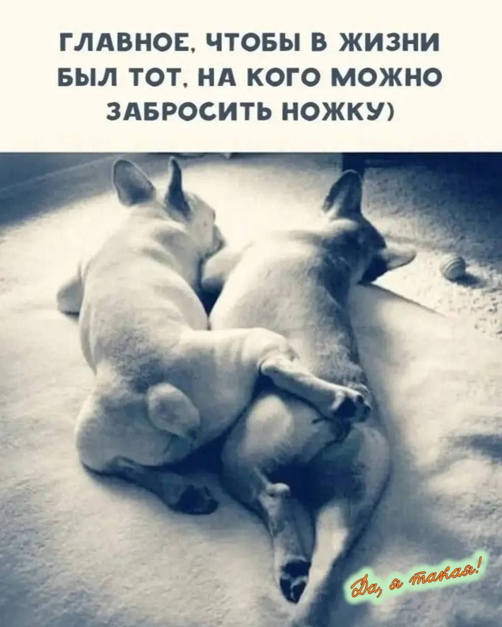 ГЛАВНОЕ, ЧТОБЫ В ЖИЗНИ БЫЛ Тот, НА КОГО МОЖНО ЗАБРОСИТЬ НОЖКУ)