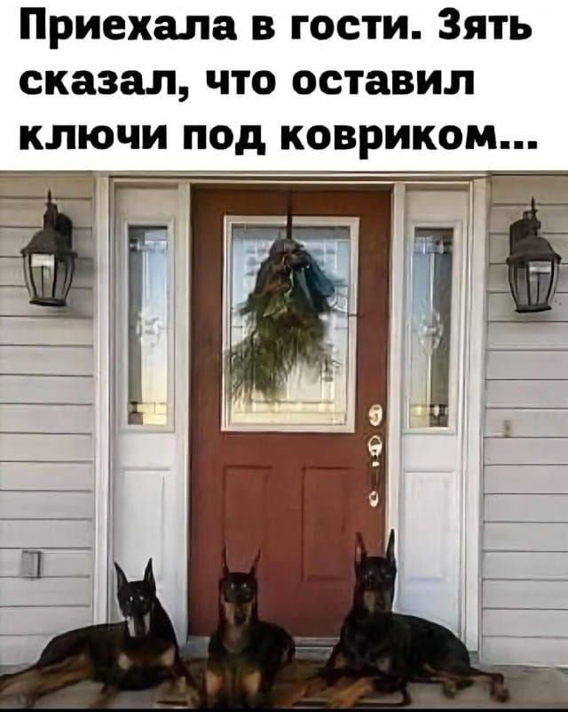 Приехала в гости. Зять сказал, что оставил ключи под ковриком...