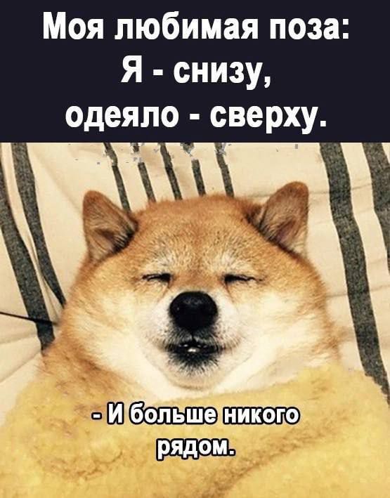 Моя любимая поза: Я - снизу, одеяло - сверху.
- И больше никого рядом.