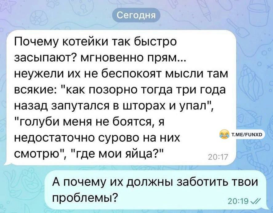 Почему котейки так быстро засыпают? мгновенно прям... неужели их не беспокоят мысли там всякие: 