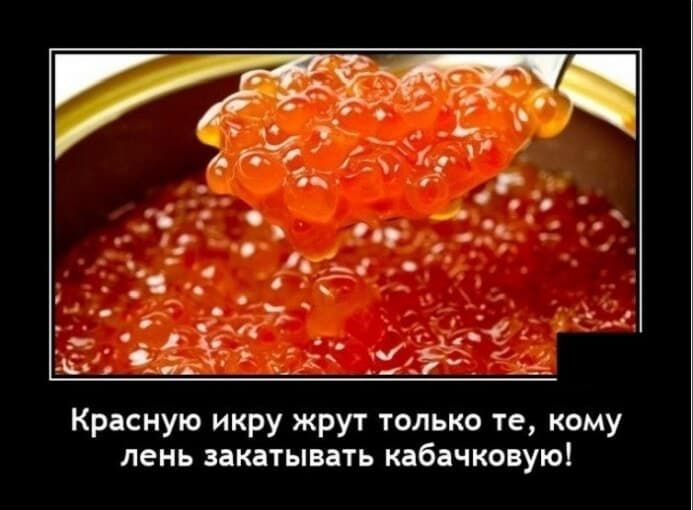Красную икру жрут только те, кому лень закатывать кабачковую!