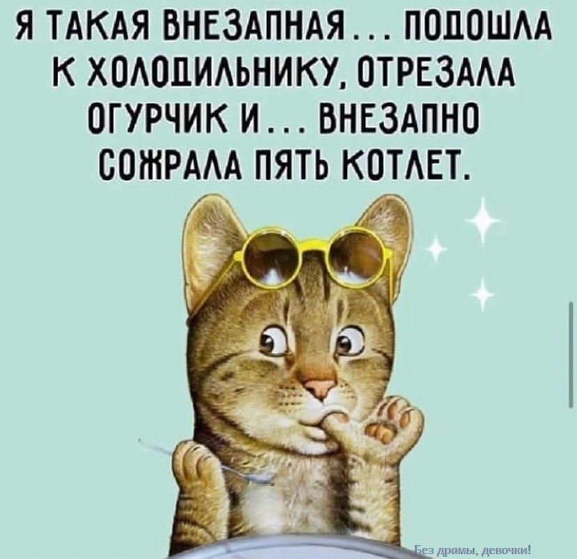 Я такая внезапная... подошла к холодильнику, отрезала огурчик и... внезапно сожрала пять котлет.