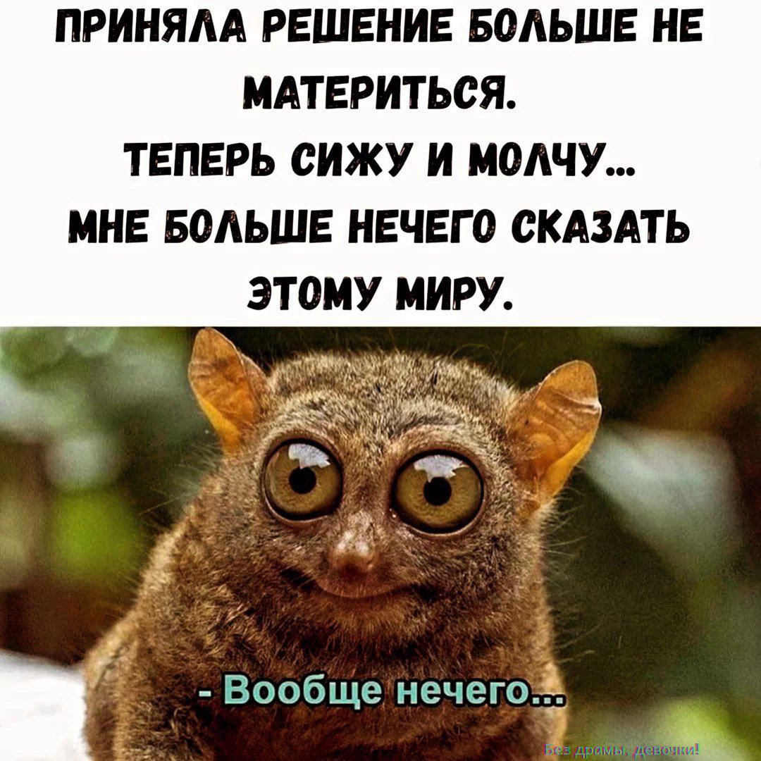 ПРИНЯЛА РЕШЕНИЕ БОЛЬШЕ НЕ МАТЕРИТЬСЯ. ТЕПЕРЬ СИЖУ И МОЛЧУ... МНЕ БОЛЬШЕ НЕЧЕГО СКАЗАТЬ ЭТОМУ МИРУ.
- Вообще нечего...