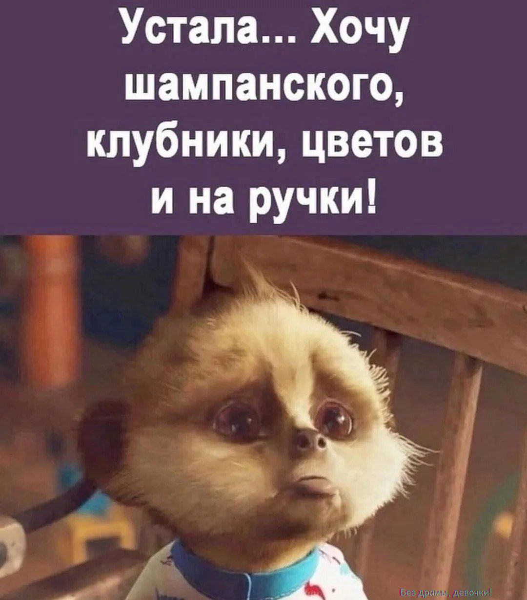 Устала... Хочу шампанского, клубники, цветов и на ручки!