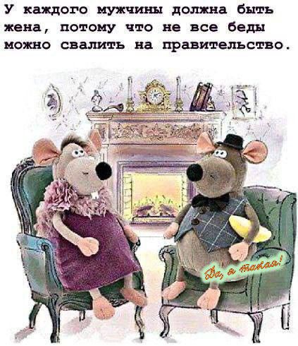 У каждого мужчины должна быть жена, потому что не все беды можно свалить на правительство.