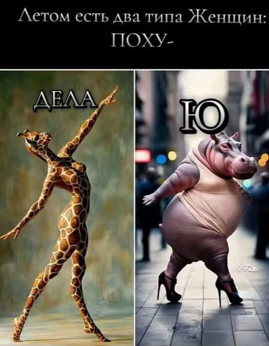 Летом есть два типа Женщин: ПОХУ- ДЕЛА Ю