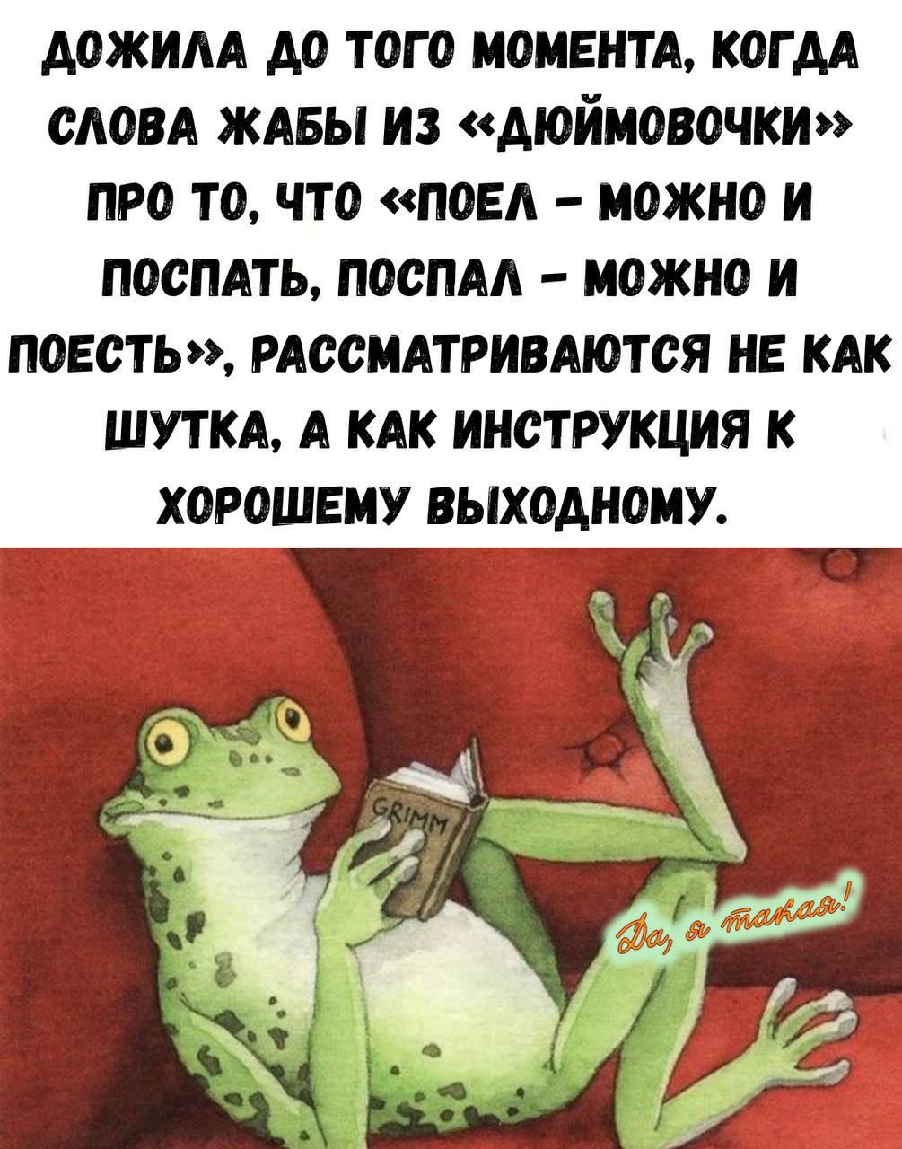 Дожила до того момента, когда слова жабы из «Дюймовочки» про то, что «поел – можно и поспать, поспал – можно и поесть», рассматриваются не как шутка, а как инструкция к хорошему выходному.