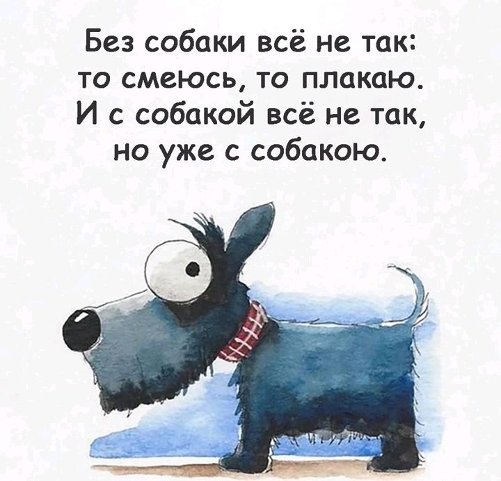 Без собаки всё не так то смеюсь то плакпю И с собакой всё не так но уже с собакою