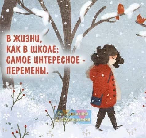 ШФ КАК В ШКОАЕ САМОЕ ИНТЕРЕСНОЕ ПЕРЕМЕИЫ