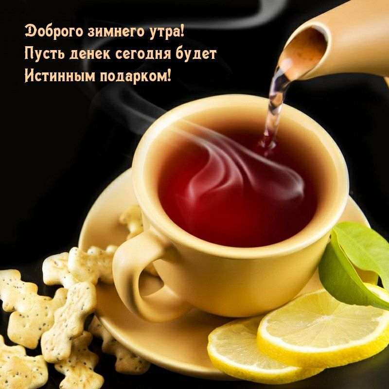 доброго зимнего утра Пусть пенек сегодня будет Истинным подарком