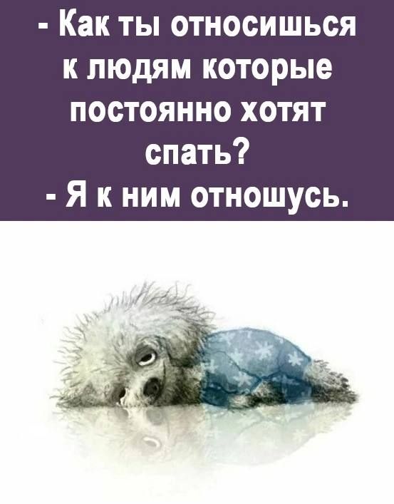 Как ты относишься к людям которые постоянно хотят спать Я к ним отношусь