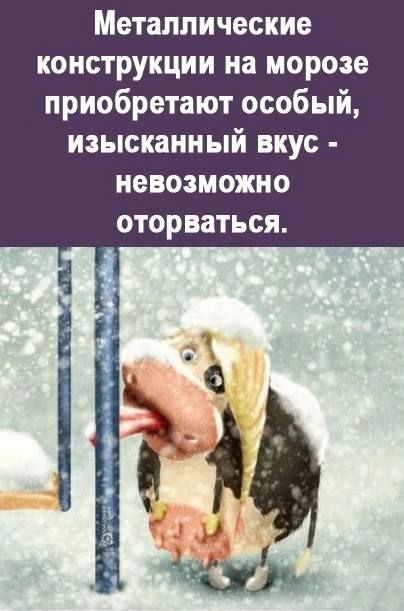 Металлические конструкции на морозе приобретают особый изысканный вкус невозможно ОТОРБЗТЬСЯ