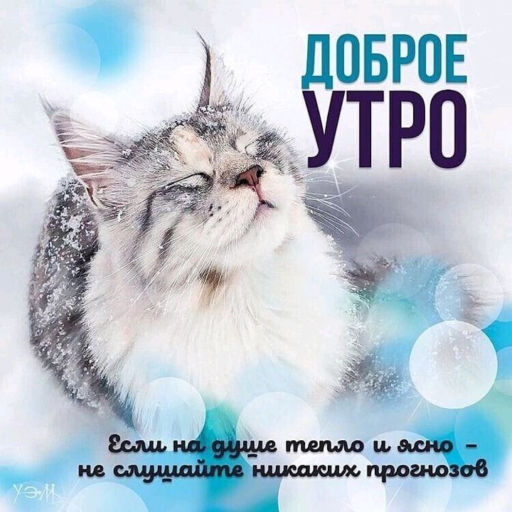 ДОБРОЕ ъ утро