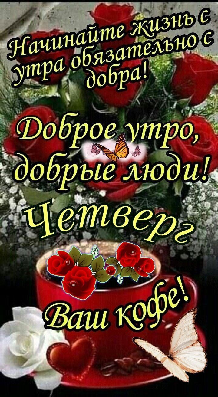 ёдтдэоьродд 35 5 д ЧЁРШ мо и с Ё ЦЕ
