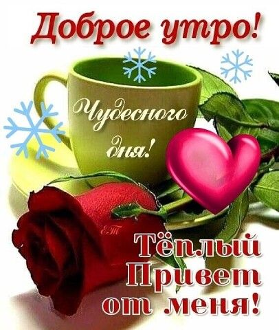 НКривет т меня