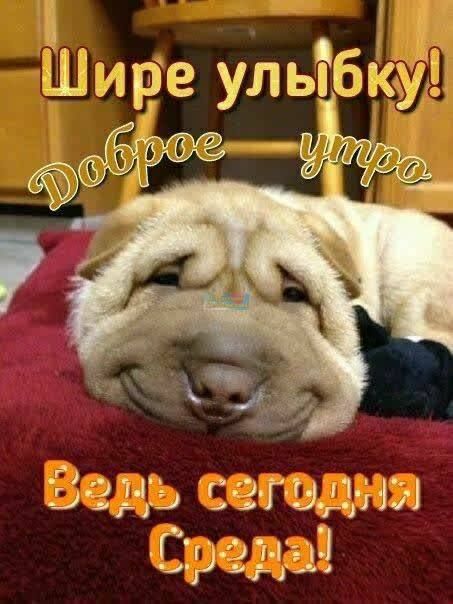 Шриэре улыбкуі ть саг ид г __ игл _ Ъ и