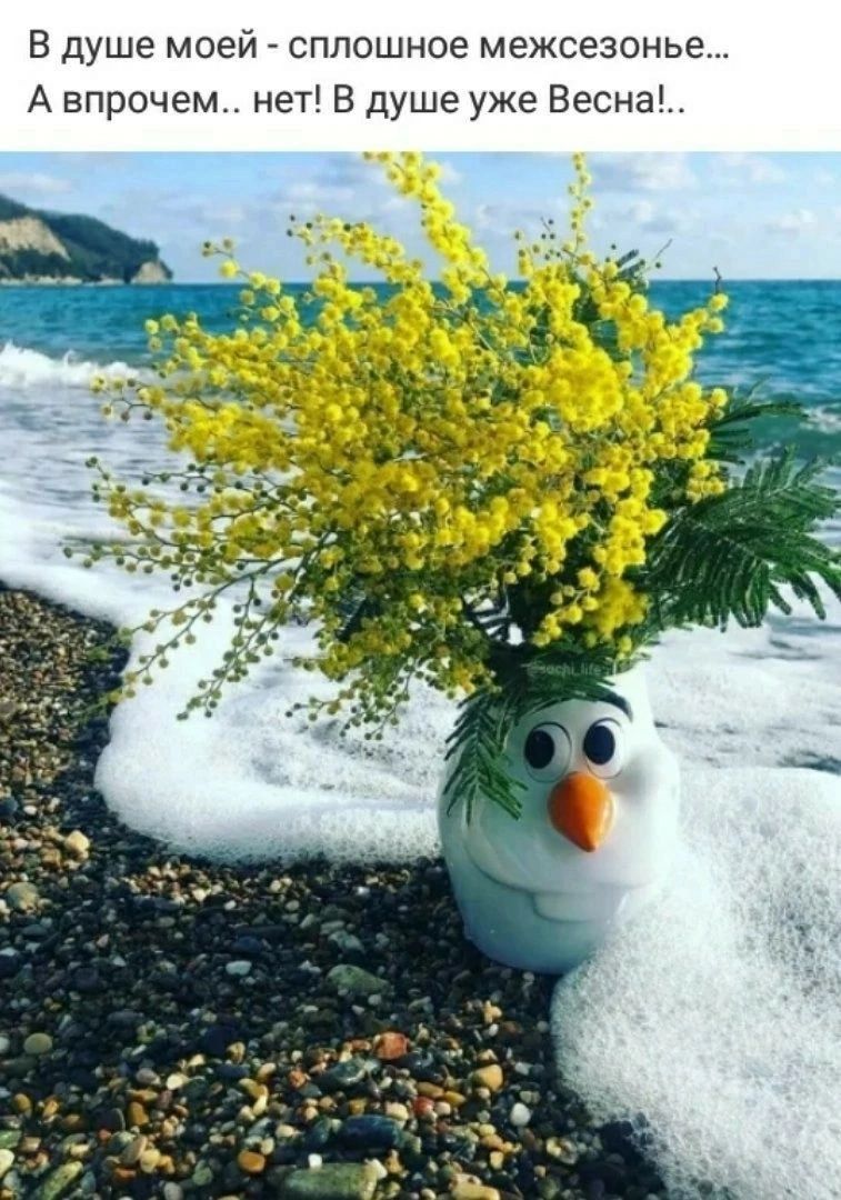 В душе моей сплошное межсезонье А впрочем нет В душе уже Весна