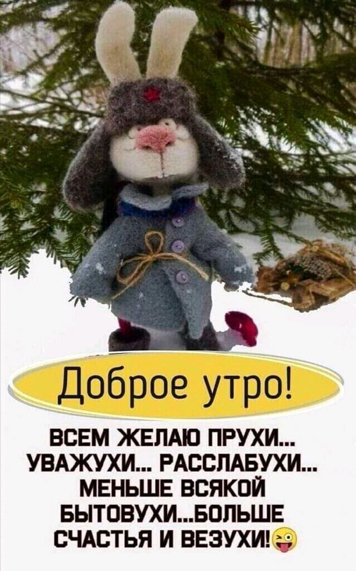 Прухи и везухи картинки