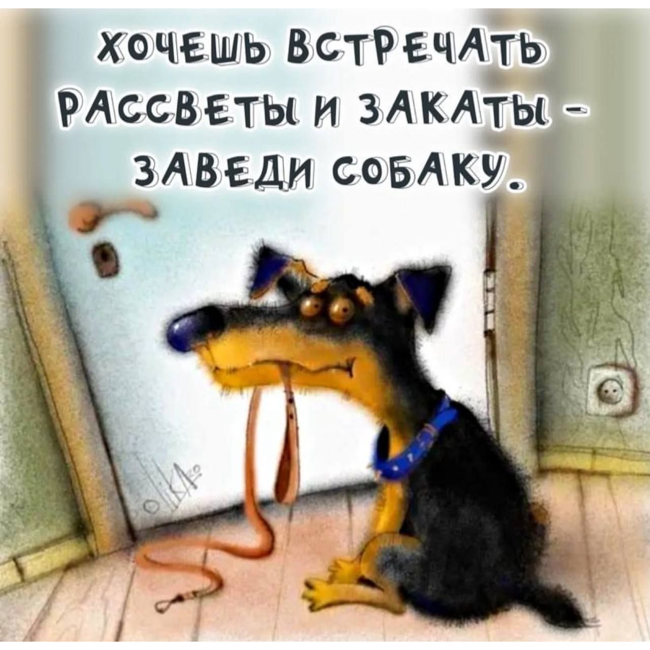 ХОЧЕШЬ ВСТРЕЧАТЬ РАССВЕТЫ И ЗАКАТЫ ЗАВЕДИ СОБАКУ 4