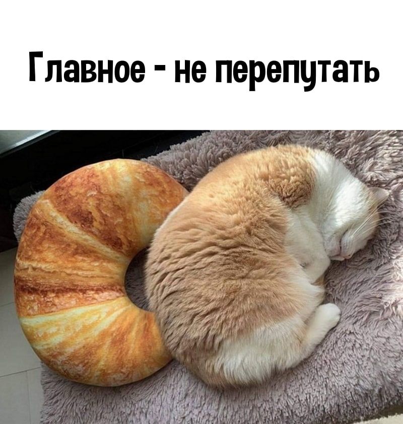 Главное не перепцтать