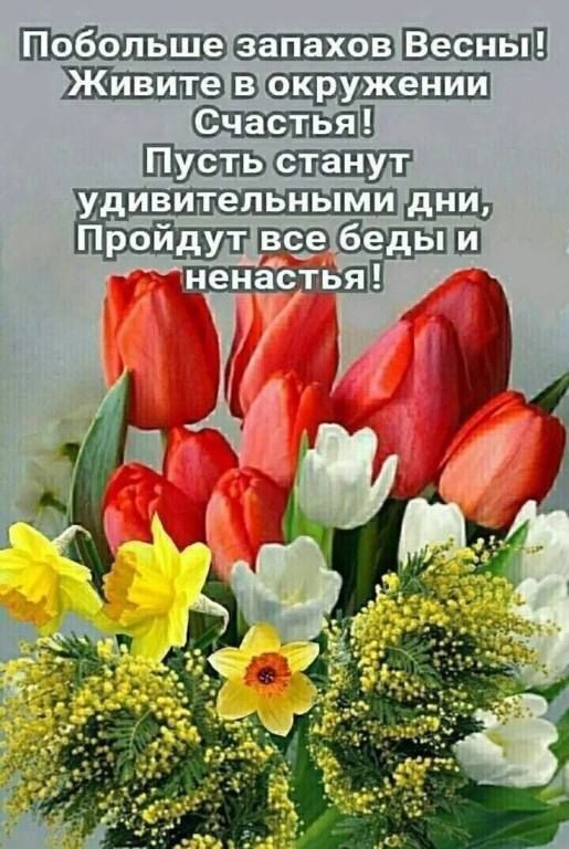 11 удивительными Пройдут инэт Ш енас ья