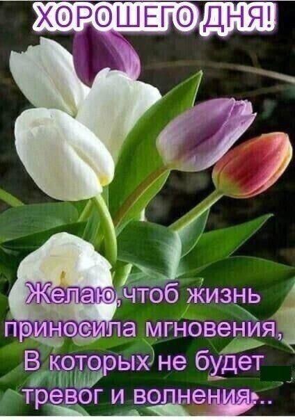 ХОРОШЕГОЩЁЕП МГНОВЭНИЯ Я В каврых не будет тревог и ВОдЁеНИЁ