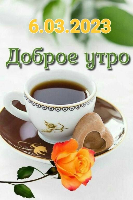 очі _ Д9619