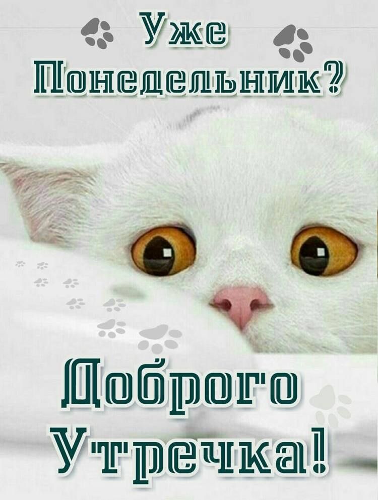Ужа 4 Ыд я _ _ Пгшбргшптш Утргепшап _