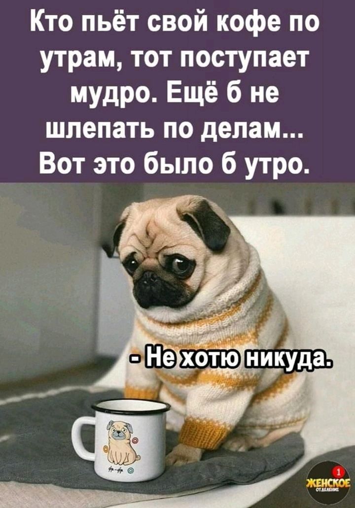 Кто пьёт свой кофе по утрам тот поступает мудро Ещё б не шлепать по делам Вот это было б утро