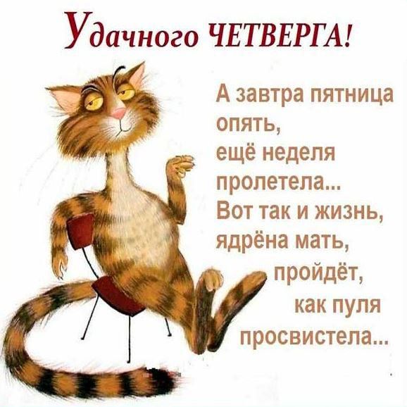 Удачного ЧЕТВЕРГ А А завтра пятница опять ещё неделя пролетела Вот так и жизнь ядрёна мать пройдёт как пупя просвистела
